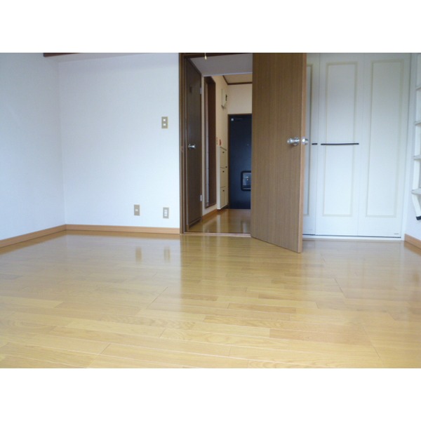 Living and room. Flooring