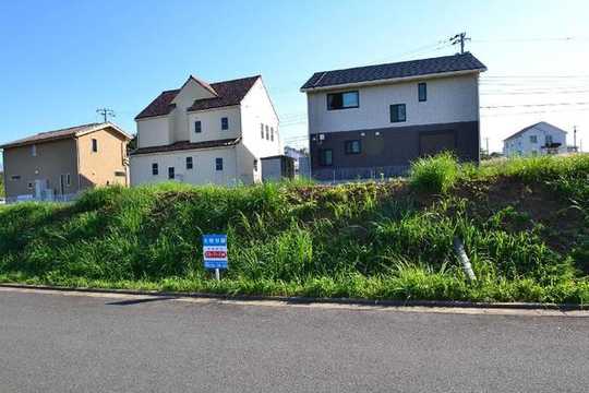 Local land photo. Local photo (east 3-31-6)