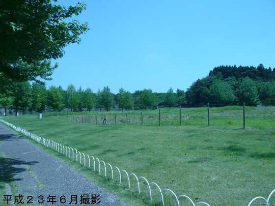 Local land photo
