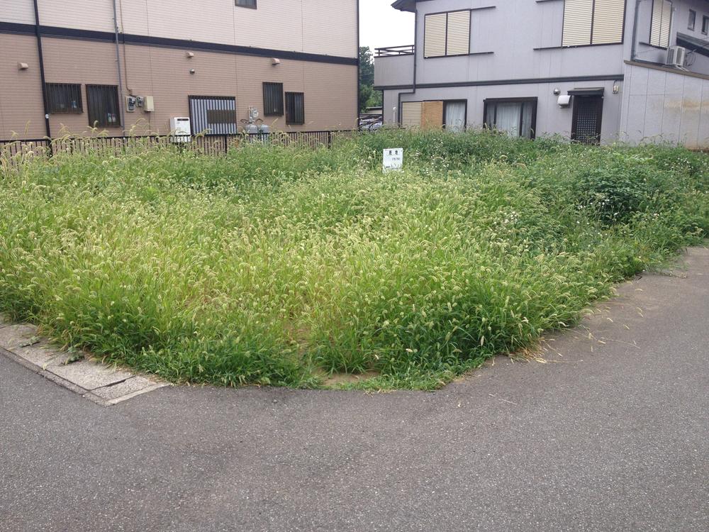 Local land photo. July 2013 shooting