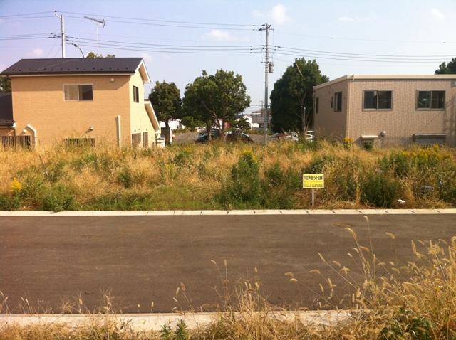 Local photos, including front road