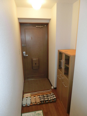 Entrance. It is the entrance space of the room