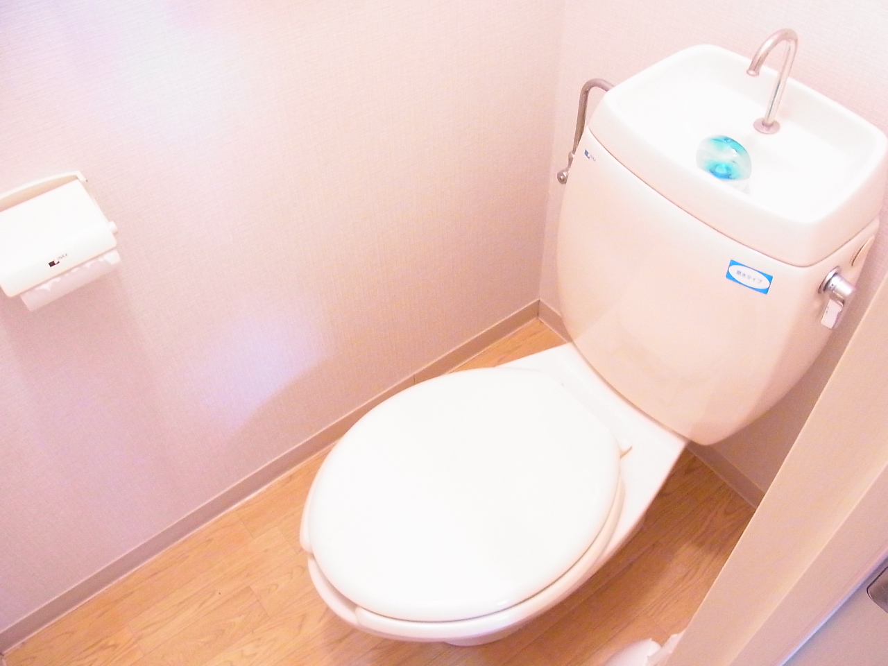 Toilet. Is beautiful