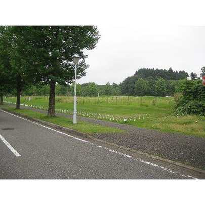 Local land photo. Local Photos