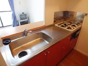 Kitchen. 3-neck gas stove