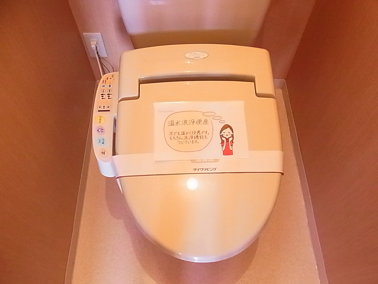 Toilet. Cleaning with warm water