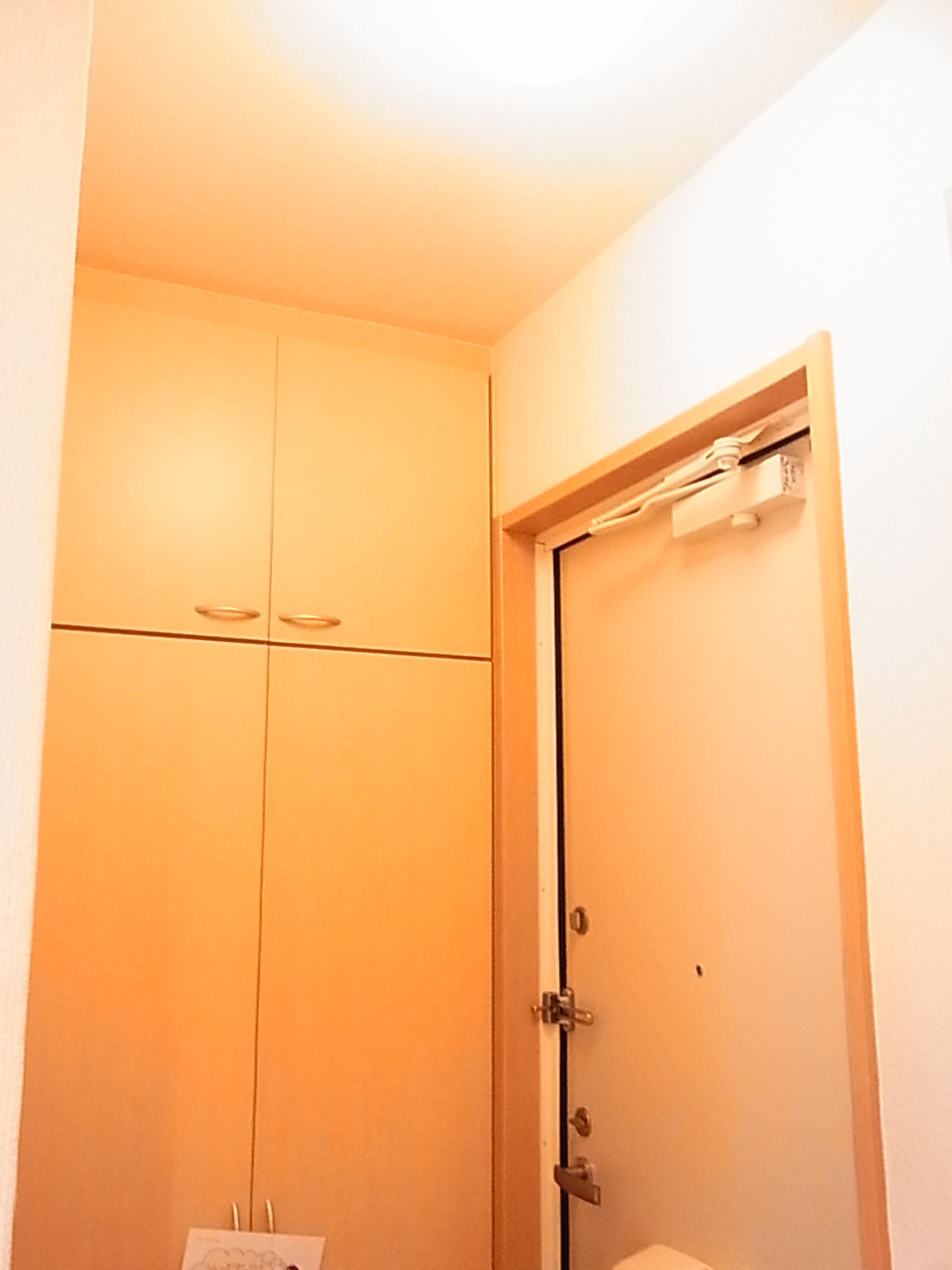 Entrance. Shoes BOX-to-ceiling