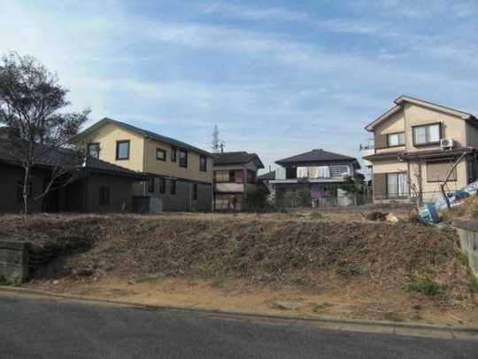 Local land photo. Local Photos