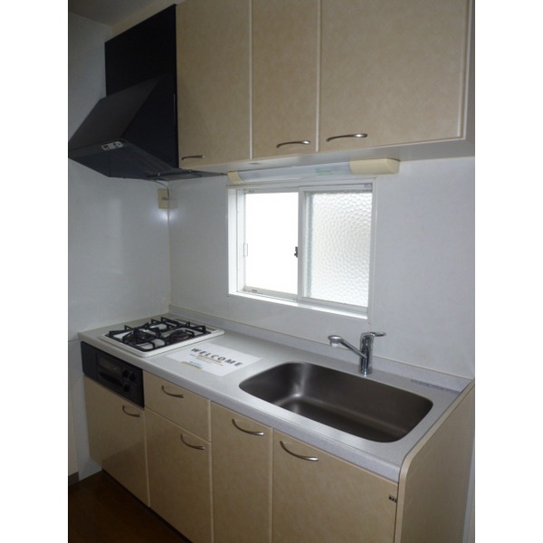 Kitchen. System kitchen