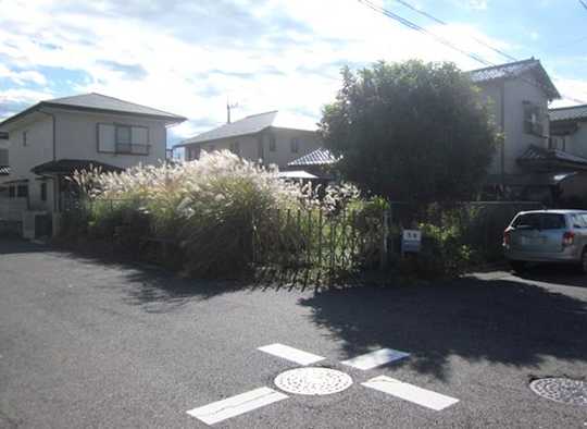 Local land photo. local