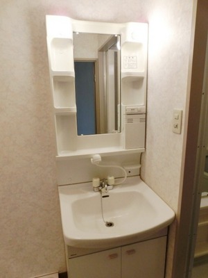 Washroom. Easy independent wash basin morning