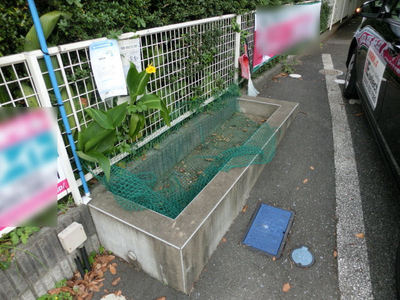 Other common areas. Share garbage area of the site.