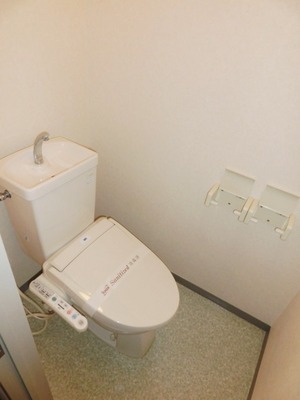 Toilet. Buttocks clean cleaning toilet seat