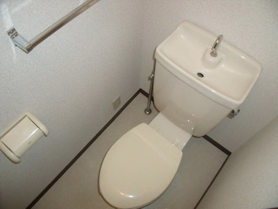 Toilet. Western-style toilet