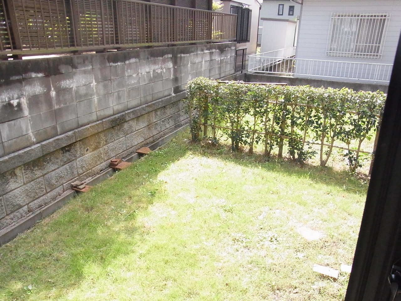 Garden. Is It is bright green of the garden