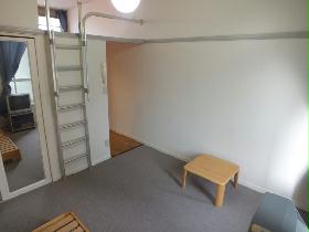 Living and room. Carpet