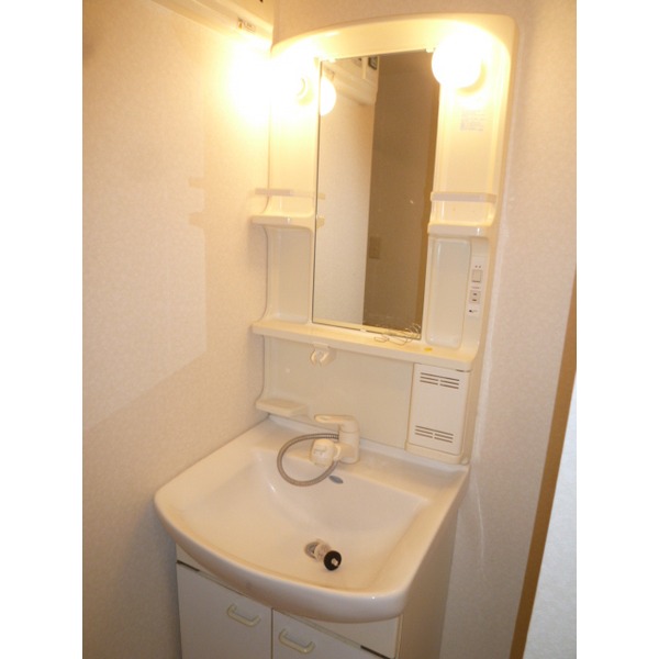 Washroom. Bathroom Vanity