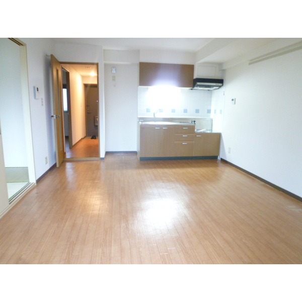 Living and room. Spacious living room