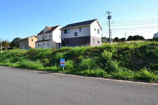 Local land photo. Local photo (east 3-31-5)