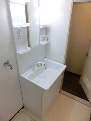 Washroom. Shampoo dresser