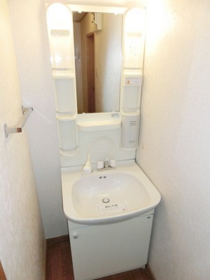 Washroom. Convenient independent vanity