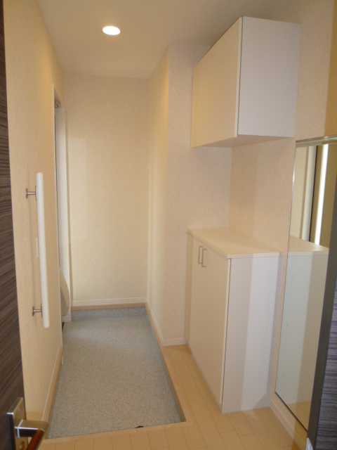 Entrance. Entrance with a shoe box