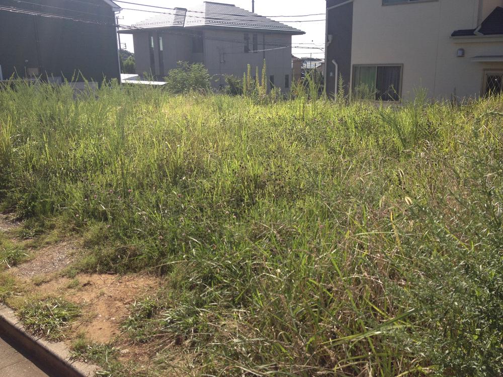 Local land photo. Local (09 May 2013) Shooting