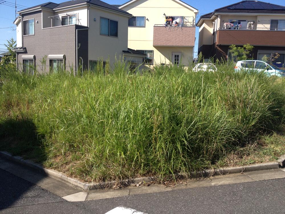 Local land photo. Local (09 May 2013) Shooting