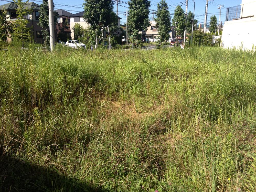 Local land photo. Local (09 May 2013) Shooting