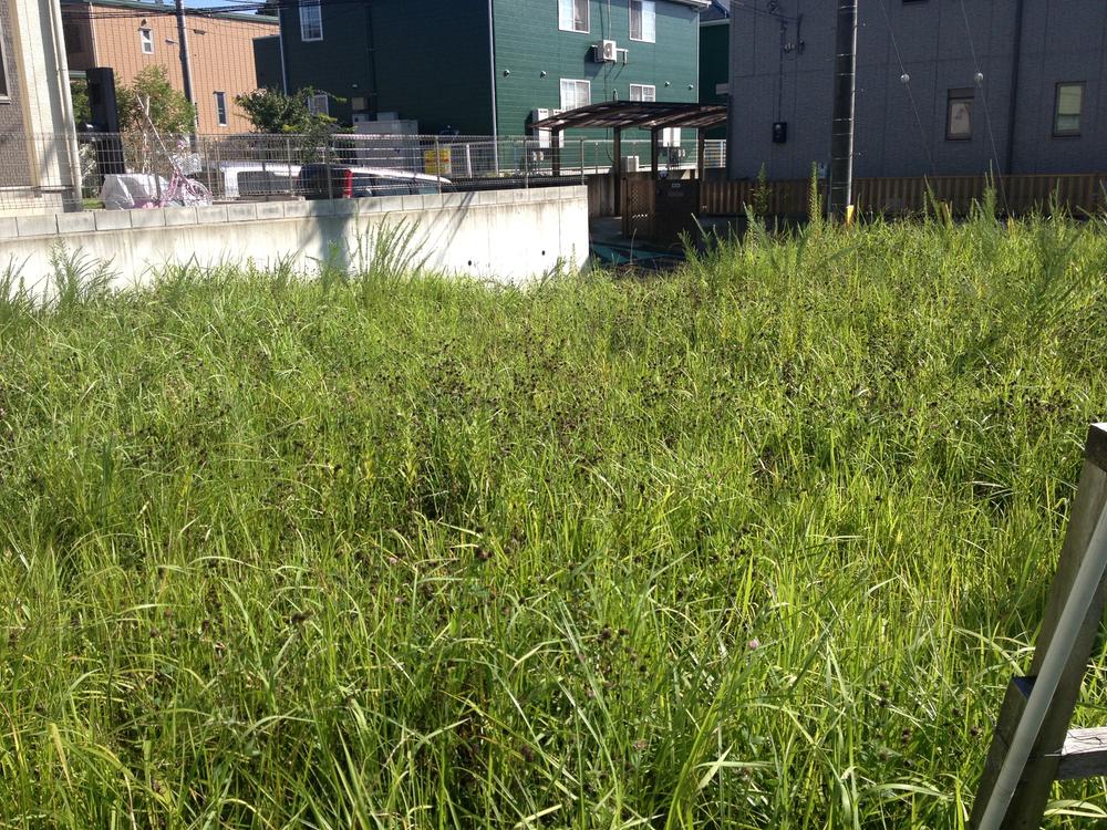 Local land photo. Local (09 May 2013) Shooting