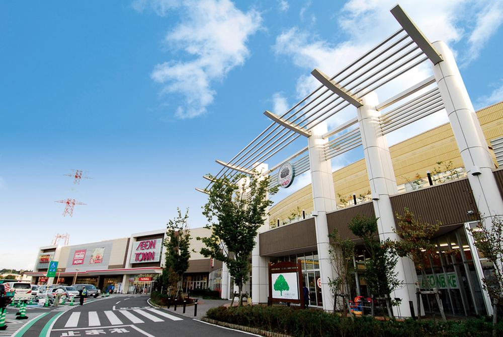 Other. Ion Town Namami field