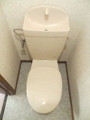 Toilet. Toilet with cleanliness