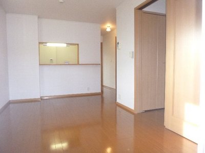 Living and room. Sunny bright living