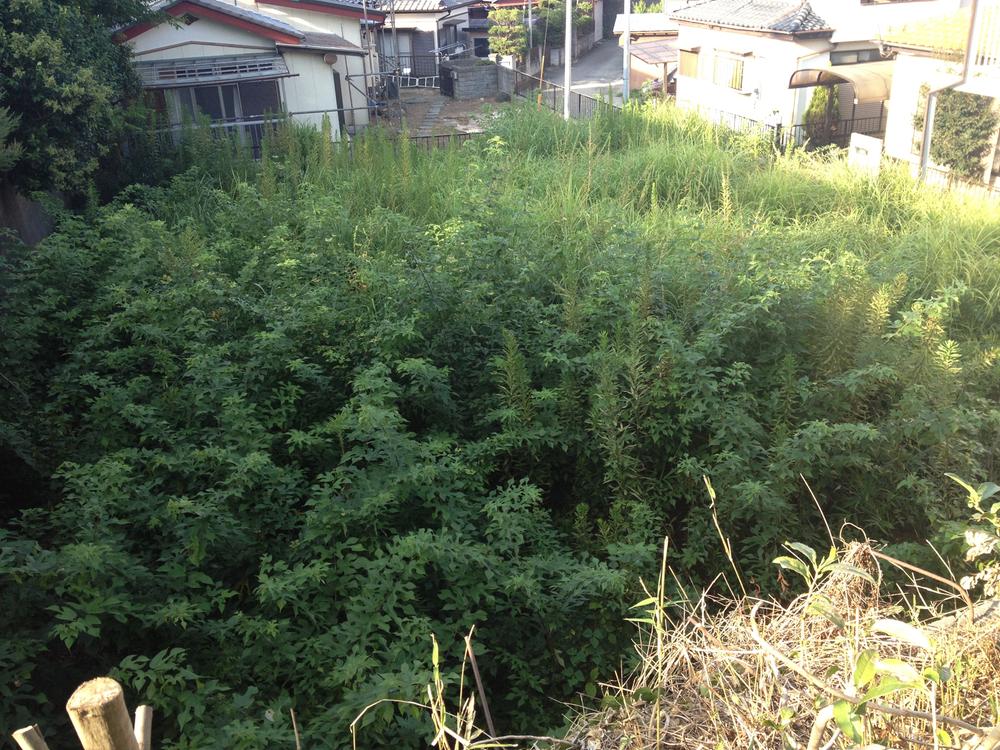 Local land photo. Local (August 2013) Shooting