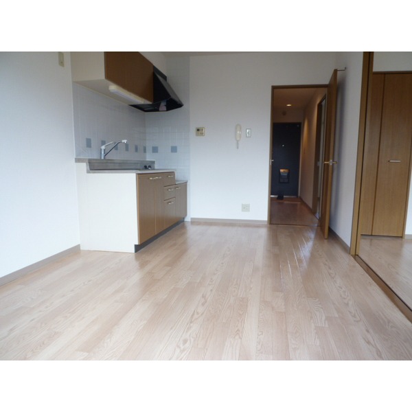 Living and room. Bright Western-style