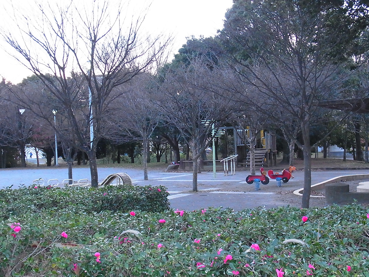 park. 496m until Namami field summer of road park (park)