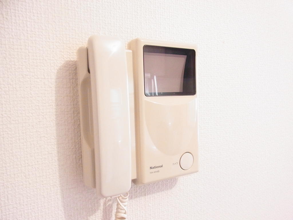 Security. Peace of mind with a TV monitor