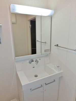 Washroom. Convenient independent vanity