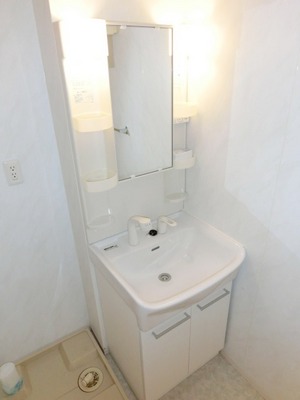 Washroom. Convenient Vanity