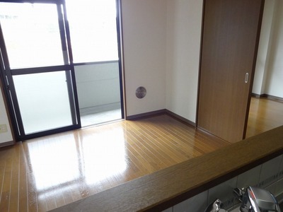 Living and room. Appearance of the living room visible from the counter kitchen.