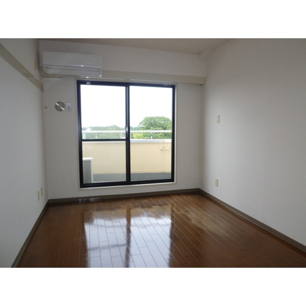 Living and room. Flooring