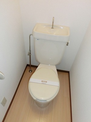 Toilet. Toilet