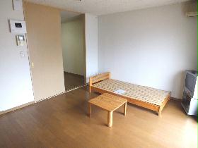 Living and room. Flooring