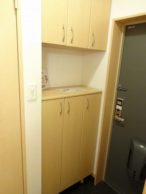 Entrance. Entrance storage This is useful There is also a hanging cupboard