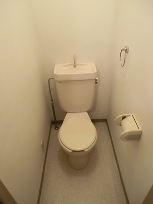 Toilet. Clean toilet