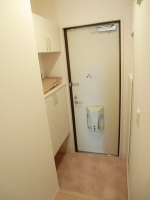 Entrance. Entrance with a shoe box