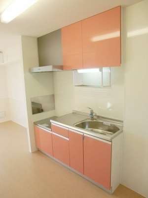 Kitchen. Two-burner stove can be installed