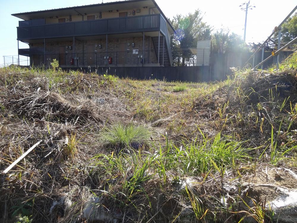 Local land photo. Local (11 May 2013) Shooting