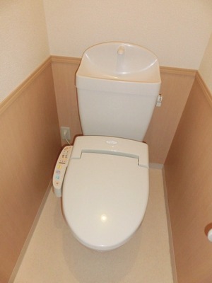 Toilet. Toilet with warm water washing toilet seat