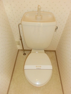 Toilet. Toilet